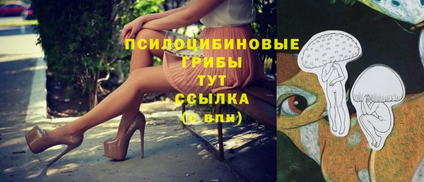 тгк Вязники